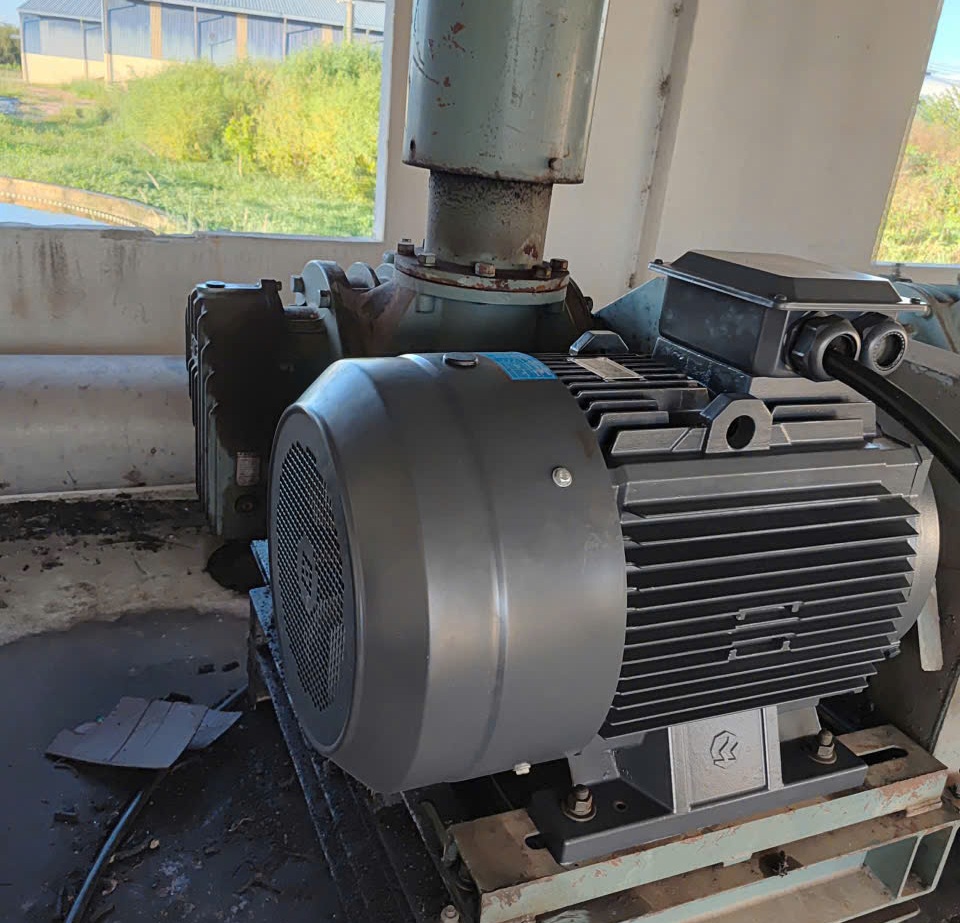 Động cơ nam châm vĩnh cửu PM 55kW lắp cho máy thổi khí Roots tại trạm xử lý nước thải